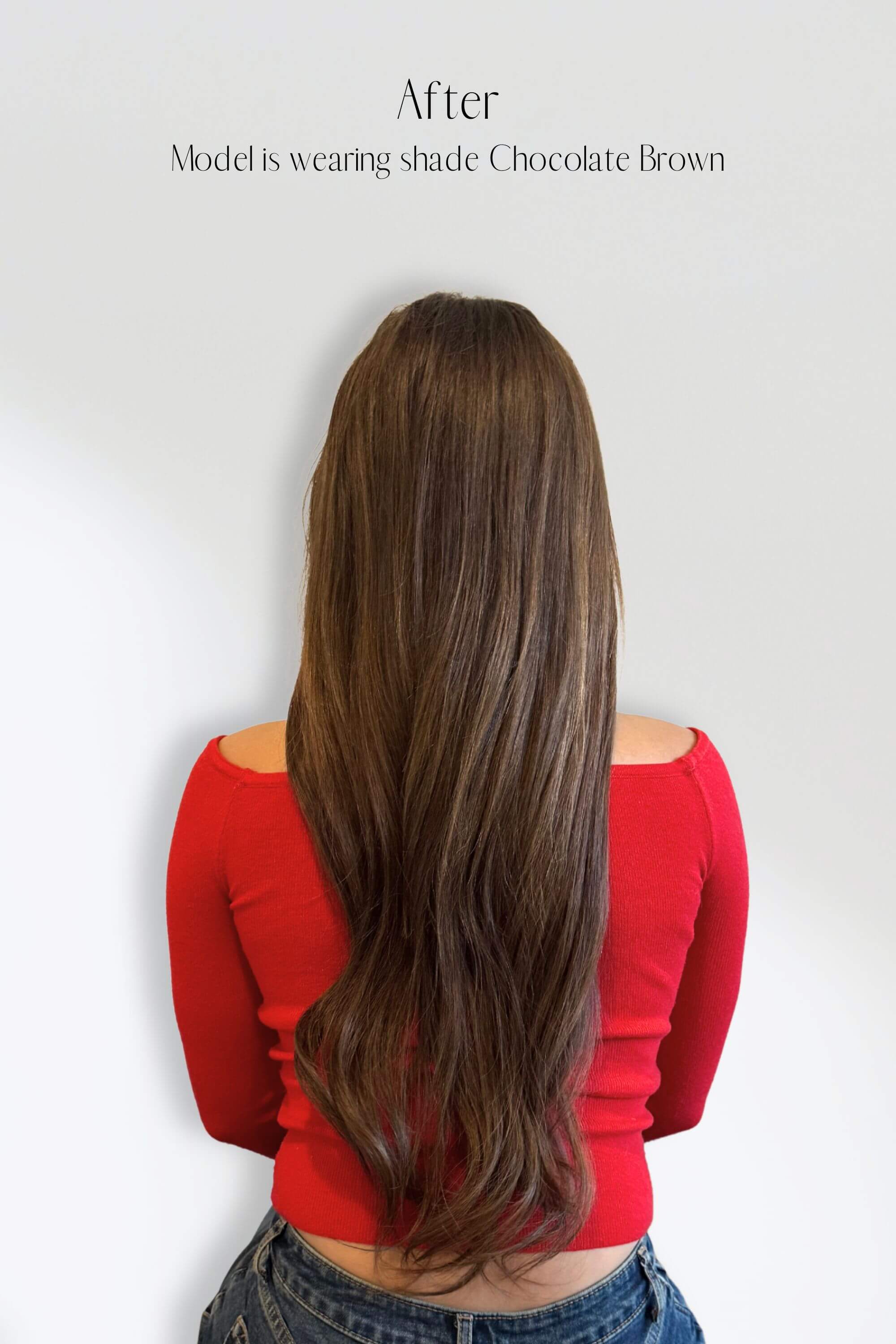 Chocolate Brown Clip-in Hair Extensions