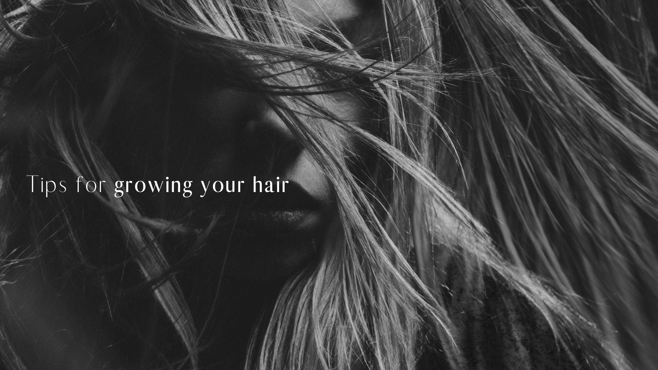 Blog banner for Frontrow hair topic: tips for growing your hair